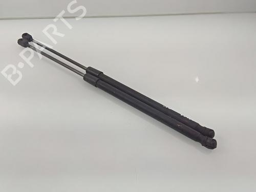 Tailgate lift support AUDI A3 (8P1)  | BP16580716C138 