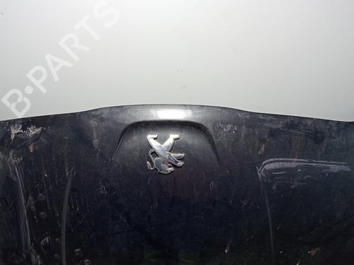 Motorhjelm PEUGEOT 508 I (8D_) 2.0 HDi (140 hp) 31252721