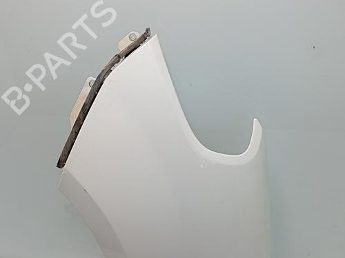 Left front fenders FIAT DOBLO Cargo (263_)  | BP29548863C41 