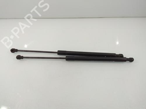 Used Tailgate lift support RENAULT CLIO IV (BH_) [2012-2021]  14217197