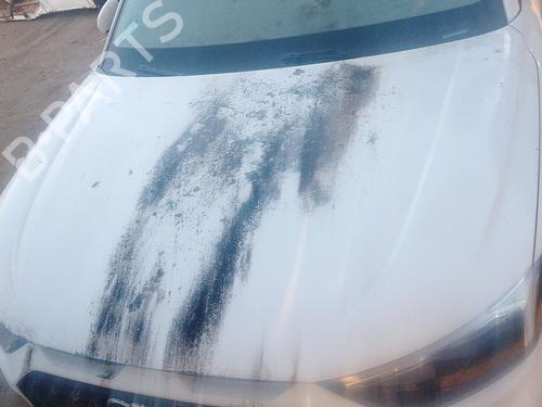 Capot AUDI A1 CITY CARVER (GBH) 30 TFSI (116 hp) 29908914