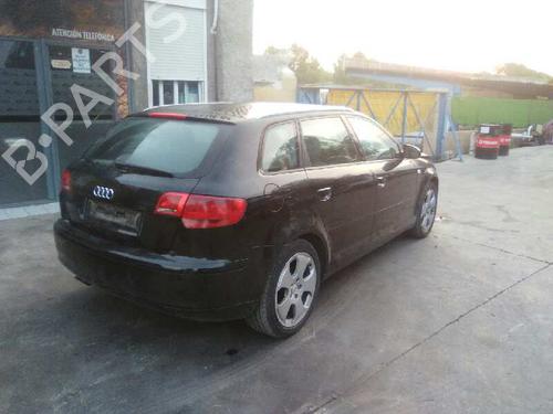 Elektronisk modul AUDI A3 (8P1) 2.0 TDI 16V | BP5290870M83
