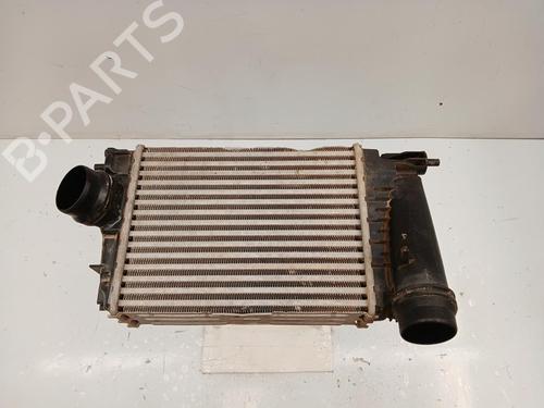 Used Intercooler NISSAN QASHQAI III (J12) [2021-2025]  29828074