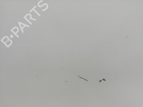 Left rear door NISSAN QASHQAI / QASHQAI +2 I (J10, NJ10, JJ10E)  | BP23861589C4 