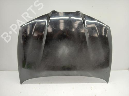 Used Hood SEAT IBIZA III (6L1) [2002-2009]  29855860