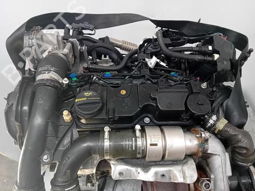 Motore FORD FIESTA VI (CB1, CCN) [2008-2025]  29904218