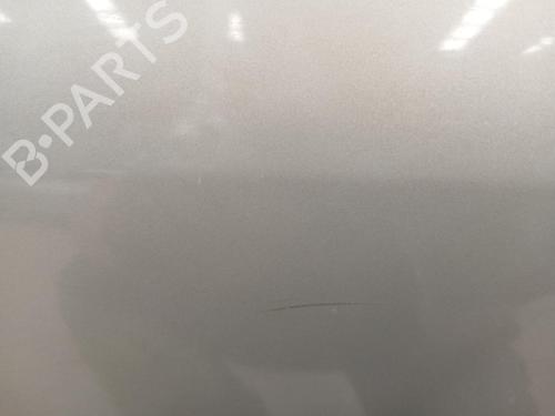 Left rear door DACIA SANDERO  | BP25157121C4