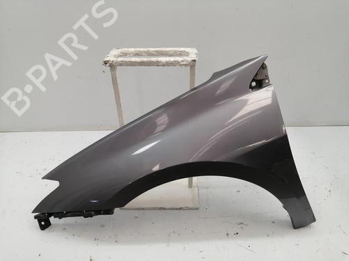 Used Left front fenders RENAULT LAGUNA III (BT0/1) 1.5 dCi (BT00, BT0A, BT0T, BT1J) (110 hp) 30274815