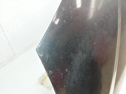 Hood SSANGYONG RODIUS I  | BP29350352C1 
