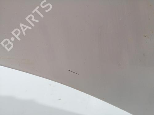 Hood RENAULT KANGOO / GRAND KANGOO II (KW0/1_) 1.5 dCi 105 (KW0F) | BP27544518C1 