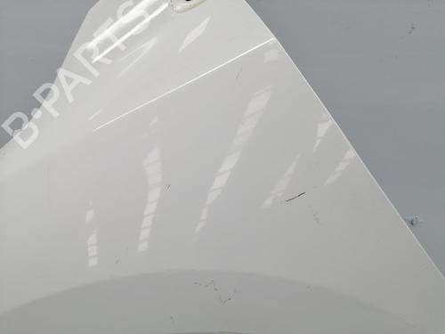 Left front fenders RENAULT MEGANE III Hatchback (BZ0/1_, B3_) | BP32311895C41