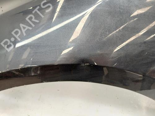 Left front fenders TESLA MODEL 3 (5YJ3)  | BP29591913C41 