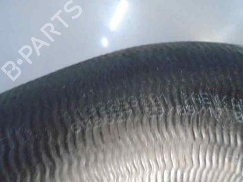 Pipe NISSAN MICRA V (K14)  | BP14027067M125 