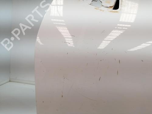 Left front door FORD PUMA (J2K, CF7)  | BP28118843C2 