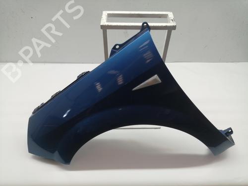 Left front fenders RENAULT GRAND SCÉNIC II (JM0/1_) [2004-2009]  16173205