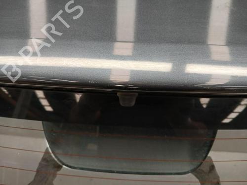 Tailgate DACIA SANDERO II  | BP29865456C6