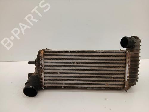 Intercooler Intercooler FORD TRANSIT CONNECT V408 Box Body/MPV [2013-2026] 37032510 37032510