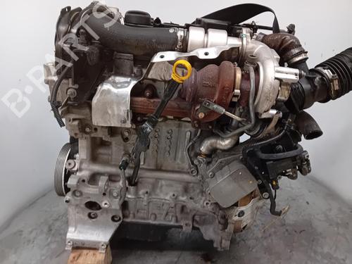 Engine FORD FIESTA VI (CB1, CCN) 1.4 TDCi | BP31123753M1