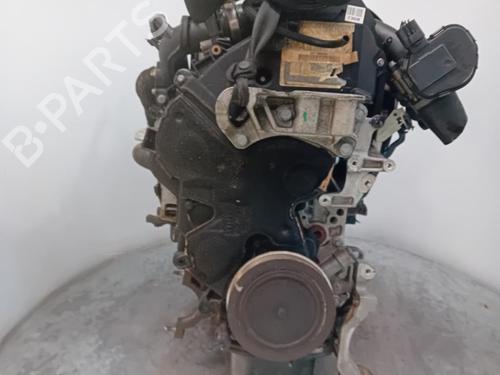 Engine FORD FOCUS III 1.6 TDCi | BP31375288M1