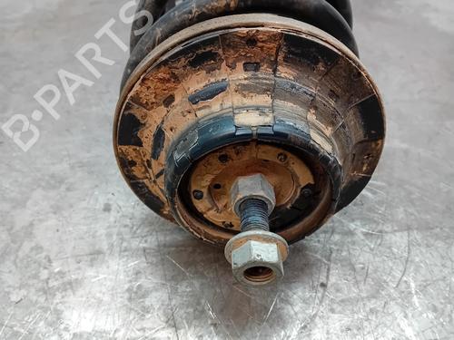 Right front shock absorber VW TRANSPORTER T6 Van (SGA, SGH, SHA, SHH)  | BP22428911M17 
