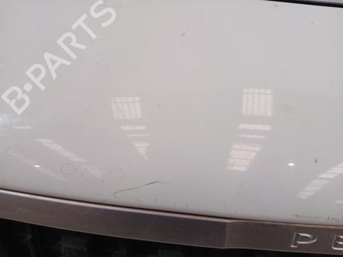 Front bumper PEUGEOT EXPERT Bus (V_)  | BP27877225C7 