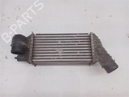 Used Intercooler Intercooler PEUGEOT 3008 I MPV (0U_) 2.0 HDi 150 / BlueHDi 150 (150 hp) 27324981 27324981