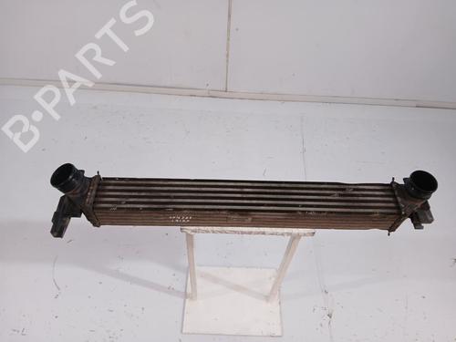 Intercooler SEAT IBIZA IV (6J5, 6P1) [2008-2017]  30621659