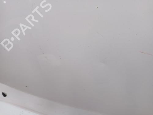 Hood FORD TRANSIT CONNECT MPV | BP30178579C1