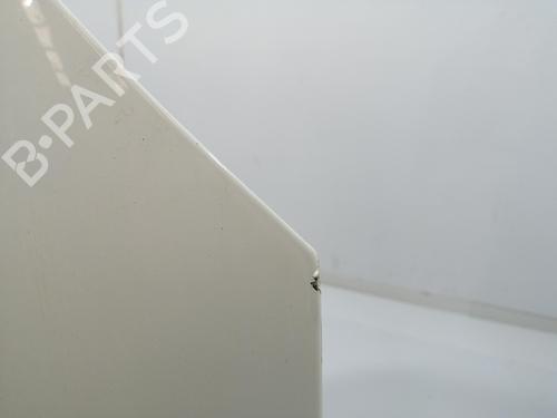 Hood FIAT BRAVO II (198_) 1.6 D Multijet (198AXH1B) | BP27383736C1 