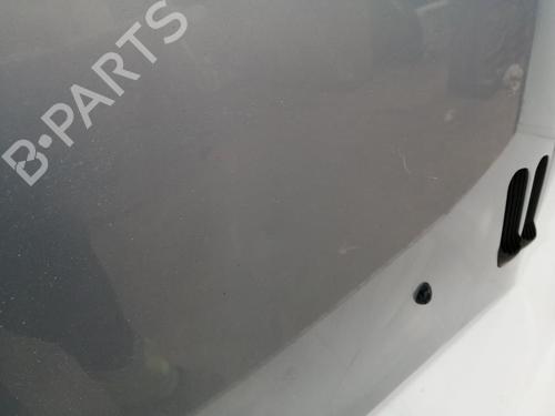 Hood PEUGEOT 206 Hatchback (2A/C) 2.0 HDI 90 | BP29589539C1 