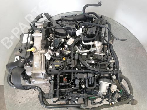 Used Engine FORD FOCUS IV (HN) [2018-2025]  29720065