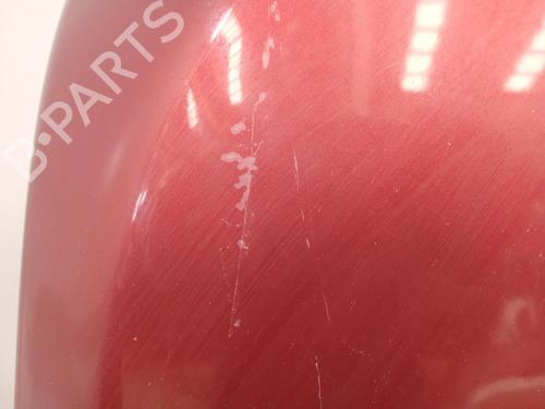 Hood LAND ROVER DISCOVERY III (L319)  | BP25467712C1 