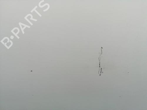 Left rear door NISSAN QASHQAI / QASHQAI +2 I (J10, NJ10, JJ10E)  | BP23861589C4 