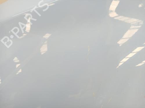 Left front fenders HYUNDAI i30 (PDE, PD, PDEN) 2.0 N | BP29590931C41 