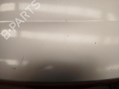 Tailgate RENAULT GRAND SCÉNIC II (JM0/1_) 1.9 dCi (JM14) | BP29340470C6 