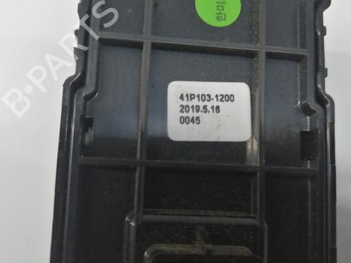 Switch KIA NIRO I (DE) | BP30928703I30