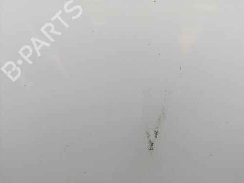 Hood RENAULT KANGOO Express (FW0/1_) Z.E. (FW0Z, FW1Z) | BP29207482C1 