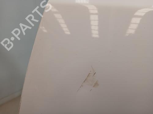 Left front door RENAULT KOLEOS I (HY_) | BP24882967C2