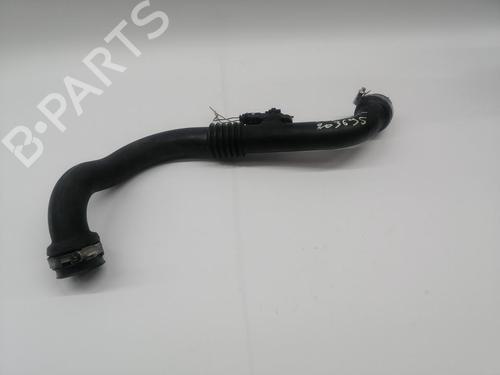 Used Pipe RENAULT SCÉNIC II (JM0/1_) [2003-2010]  29394338