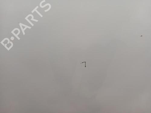 Left front door PEUGEOT PARTNER Box Body/MPV (K9) | BP32206166C2