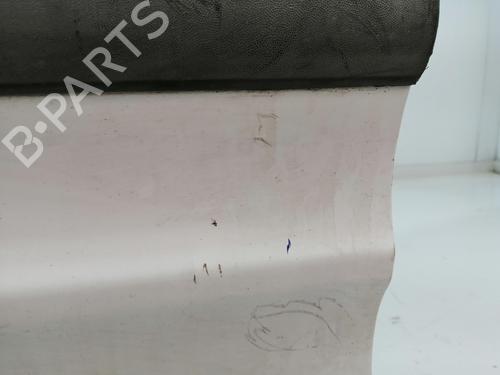 Left front door FORD TRANSIT CONNECT (P65_, P70_, P80_) 1.8 TDCi | BP28118857C2 