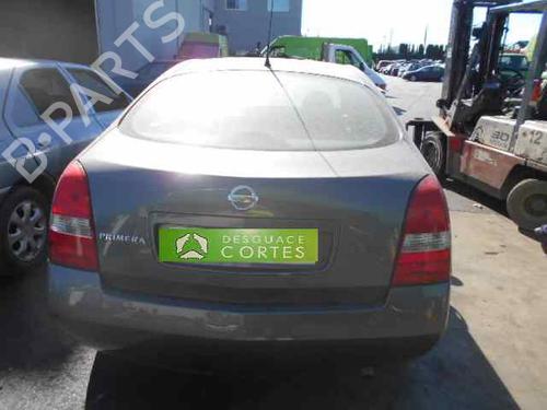 - Image 7