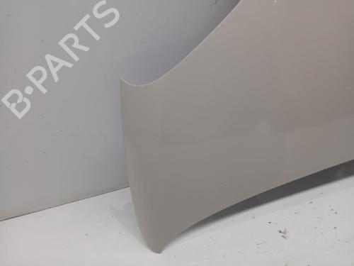 Hood FIAT PANDA VAN (312_, 519_) 1.2 LPG (312CXA1A) | BP29851931C1