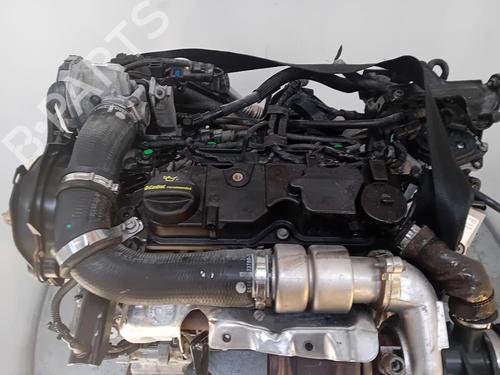 Used Engine FORD FIESTA VI (CB1, CCN) 1.4 TDCi (70 hp) 30436581