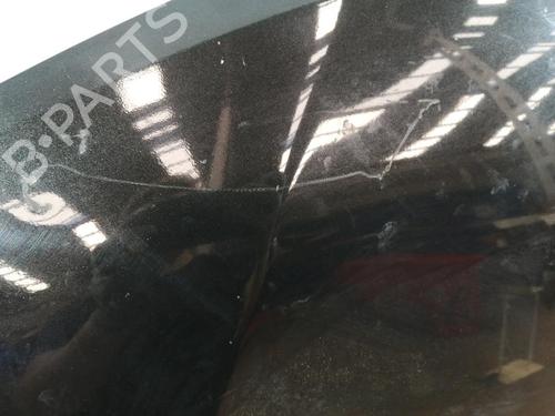 Hood NISSAN QASHQAI II (J11, J11_) 1.6 dCi | BP29591899C1 