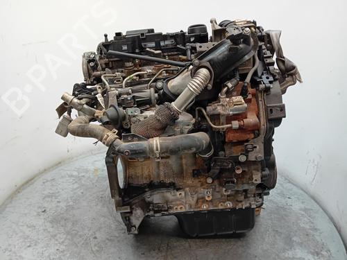 Engine FORD C-MAX II (DXA/CB7, DXA/CEU) | BP26186129M1 - Image 4