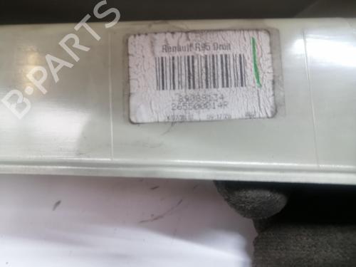 Right taillight RENAULT SCÉNIC III (JZ0/1_)  | BP28961128C35 