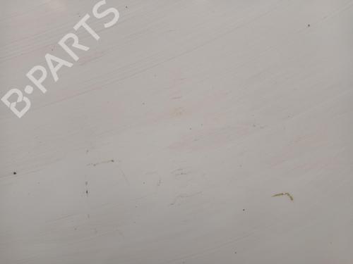 Left front door FIAT DUCATO Van (250_)  | BP29531997C2 