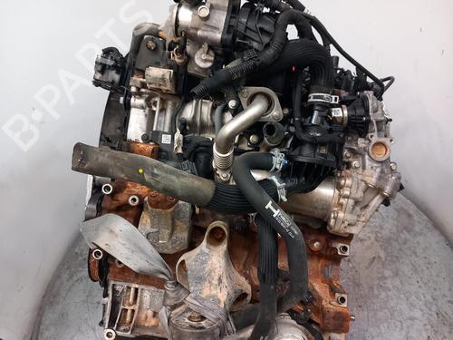 Motor FORD TRANSIT V363 Platform/Chassis (FED, FFD)  | BP30696115M1 