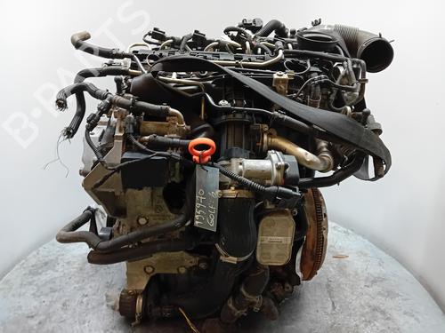 Engine VW GOLF VI (5K1)  | BP28213154M1 